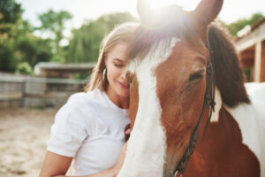 equine therapy