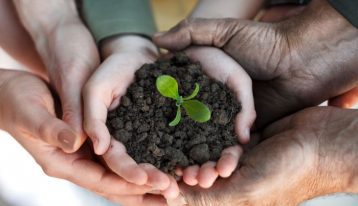 family hands holding soil and small plant