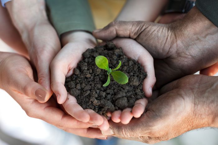 family hands holding soil and small plant