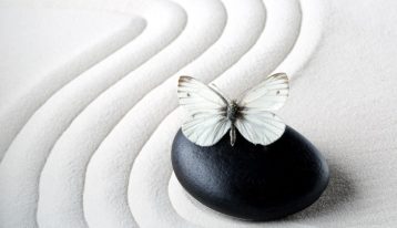 Here are simple things to do now to help you care for yourself and overcome the impact of your loved one's substance abuse. zen raked white sand with stone and butterfly white