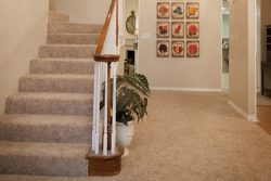 entry way of home with carpeted beige stairs