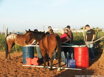 group of people with two horses outdoors